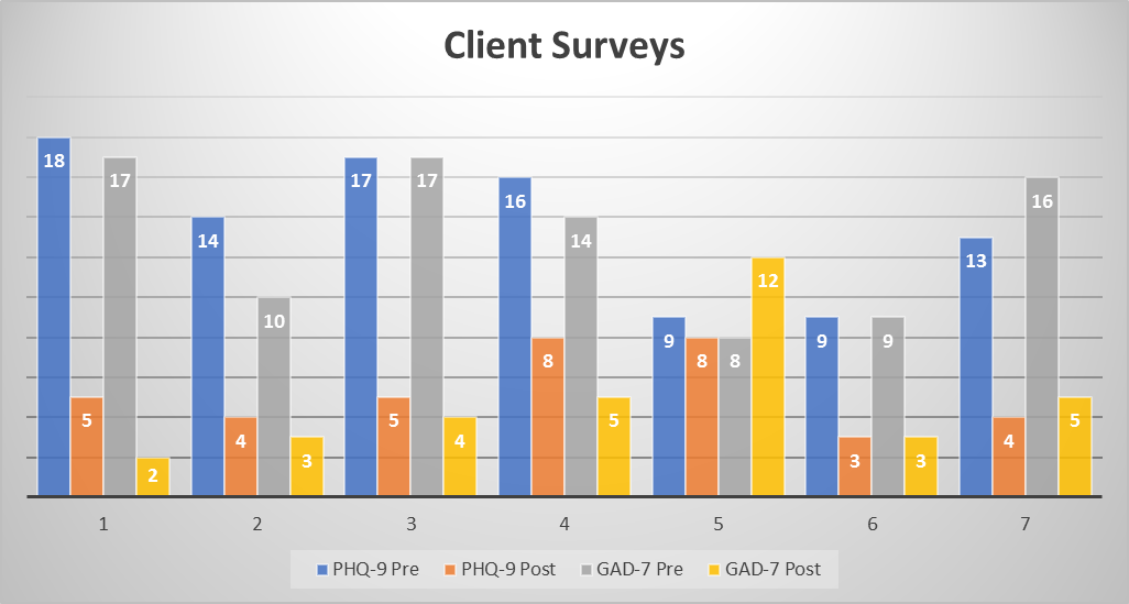 Client Surveys Graph
